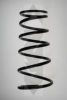 SPIDAN 49686 Coil Spring